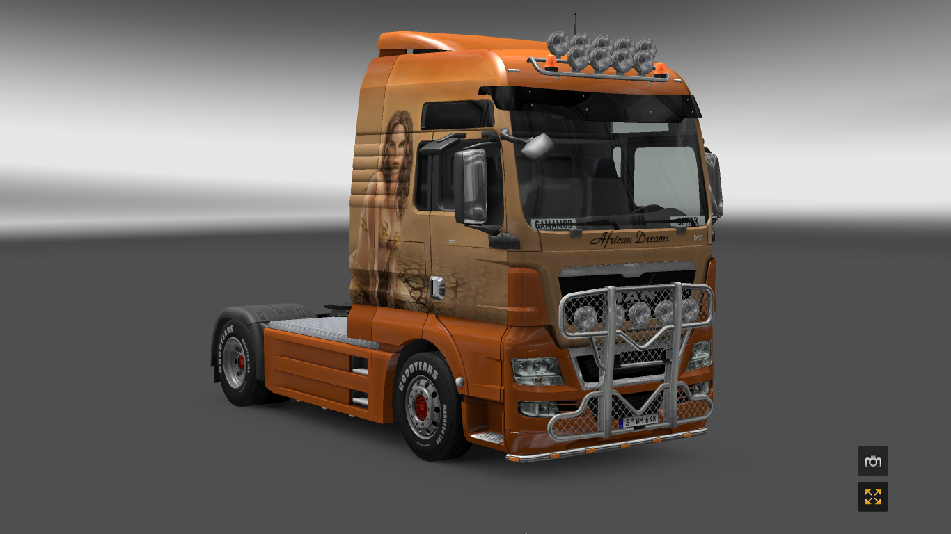 MAN Tgx Skin African Dream & Interior